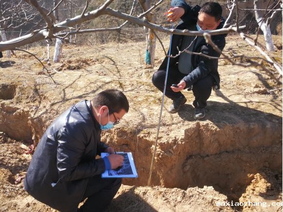 20200319/5e72ccc1ab11e.jpg 2.jpg