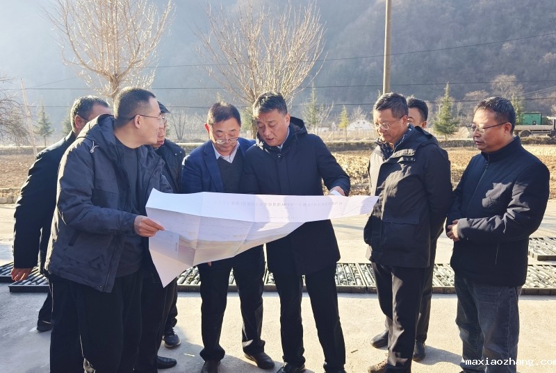 20241220/67653a7e720f3.jpg 1.jpg