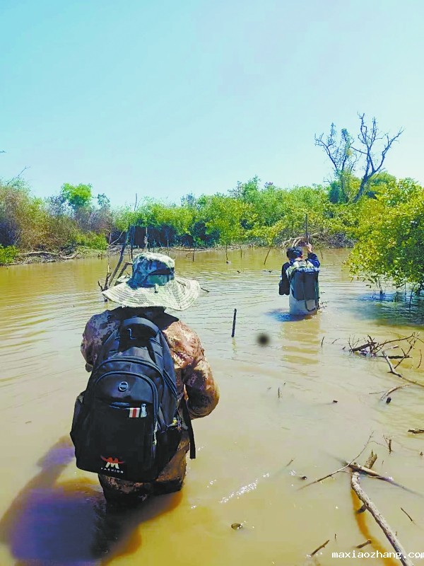 20250821/68a6d9fe97e0e.jpg 2.jpg