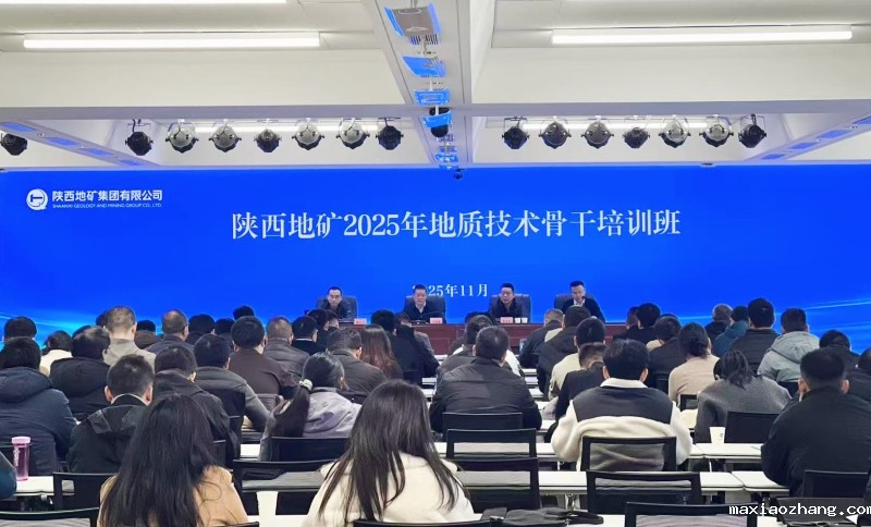 伟德网页版下载教程视频举办2025年地质技术骨干培训班